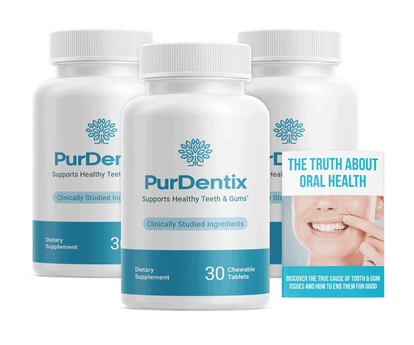 purdentix